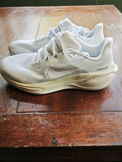 Nike Air Zoom Pegasus 41 EasyOn