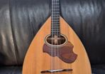 Mandocello and Hoyer Mandolin