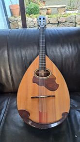 Mandocello and Hoyer Mandolin