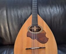 Mandocello and Hoyer Mandolin