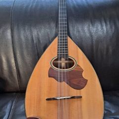 Mandocello and Hoyer Mandolin