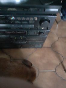 Pioneer Sound System