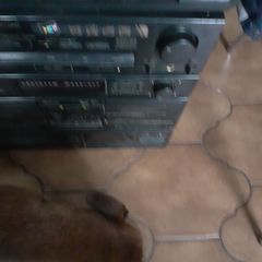 Pioneer Sound System