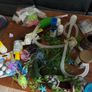 fish tank Image 7