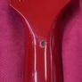 Burny Les Paul Image 10
