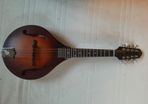 mandolin