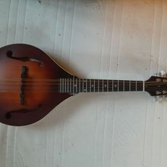 mandolin
