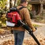 Leaf Blowers Amura Professional Image 5