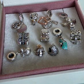 Pandora various charms available 18e each charm very good condition