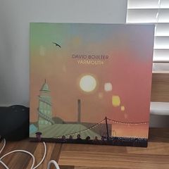 David Boulter Yarmouth limited edition numbered vinyl