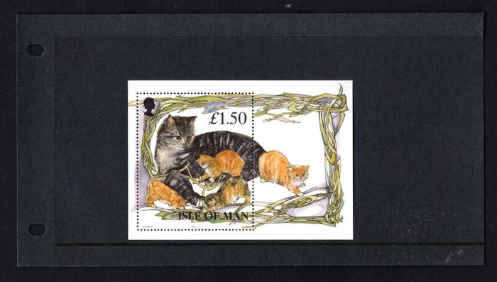 1996 Isle of Man Manx Cats (cats with kittens) Commemorative Stamp Miniature Sheet Presentation Pack
