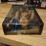 Star Wars Black Series Blue Line Chewbacca Image 5