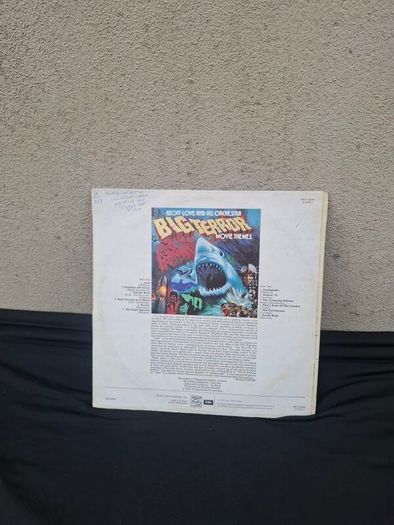 vinyl lp big terror possible to post