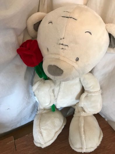 Soft White Teddy Bear holding a red rose