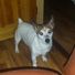 buster041
