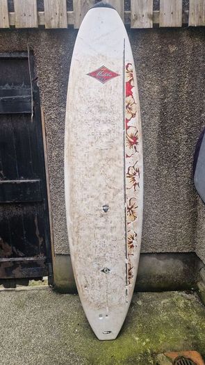 Bic Mini Malibu 7'3 Surfboard