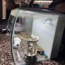 Fish tank Fluval Image 10