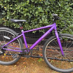 Ridgeback Dimension 26 Girls Bike
