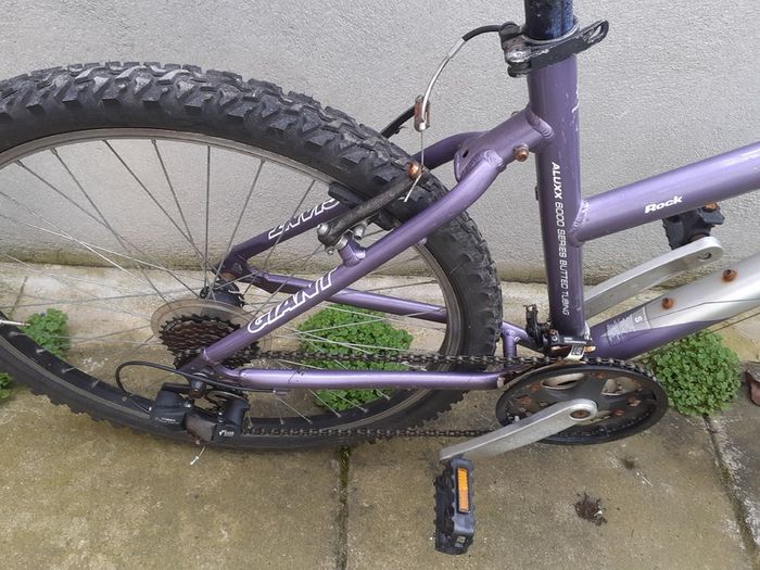 Giant Rock Aluxx 6000 Girl's Bike