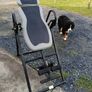 Inversion Table Image 2