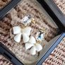 Brand New Floral Crystal Statement Earrings Gift Box Included Image 2