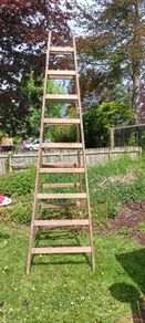 Ladders