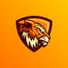 Cornered Tiger