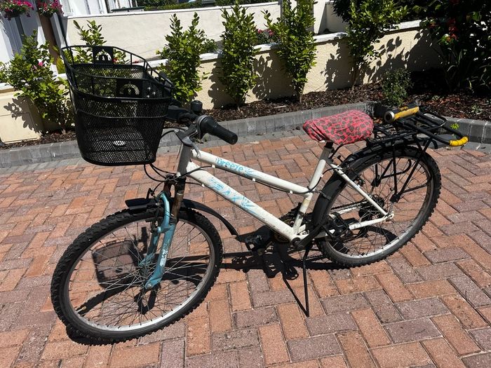 bike with basket lock & lights