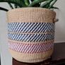 Healthy Sansevieria Cylindrica (African Spear) in  Ethnic  Pot Image 4