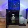 Fish tank Image 5
