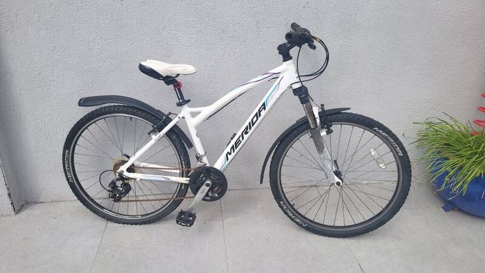 Mountain bike