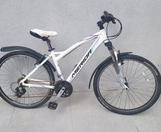 Mountain bike