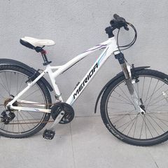 Mountain bike