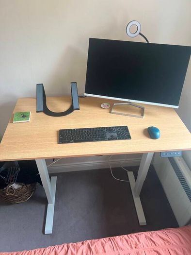 electric standing desk