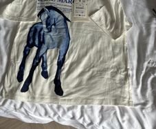 boys t shirt Zara
