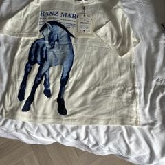 boys t shirt Zara