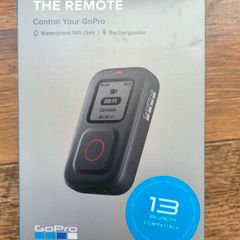 the remote