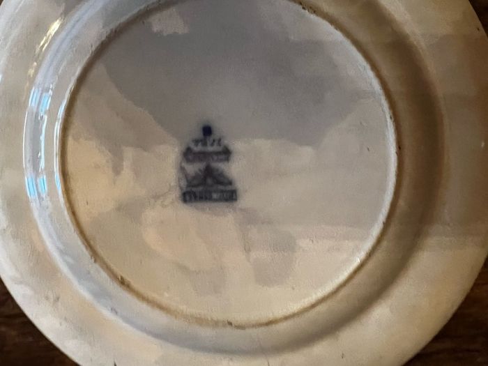 Antique Blue Tf & Sons Plate