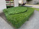 Gardener / Man With Van Image 5