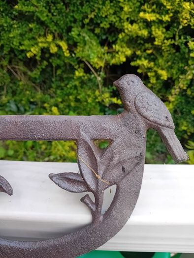 bird boot scraper