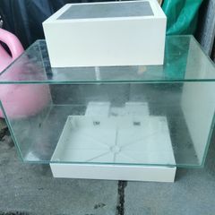 Fluval Edge