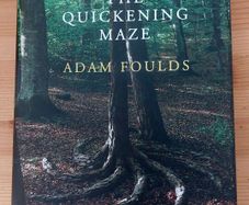 The Quickening Maze. Adam Foulds