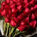 Red_Roses