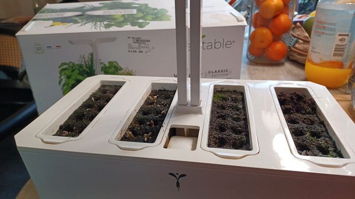Veritable classic edition indoor garden