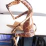 Thinking Giraffe Wooden Shelf Sitter Image 2