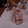moorcraft rabbits Image 5