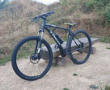 trek 6 29er