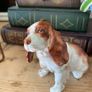 Hand painted dog. Image 2