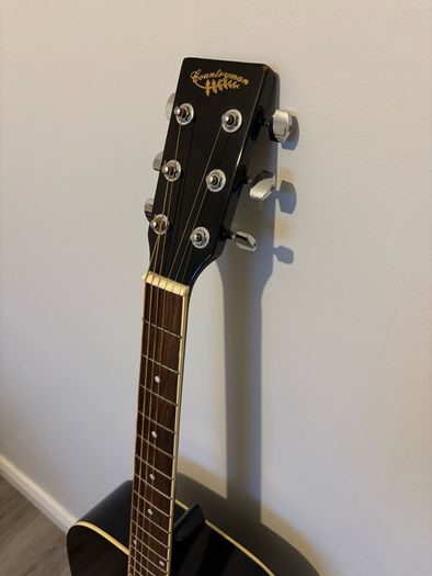 acoustic guitar
