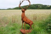 Rusty Stag Style 2  D8889